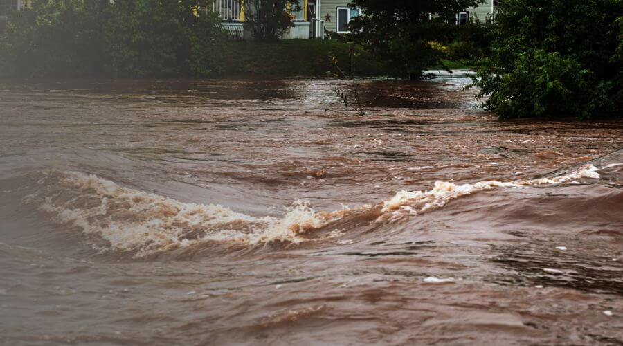 Why choose water damage restoration service for commercial water damage restoration in Escondido